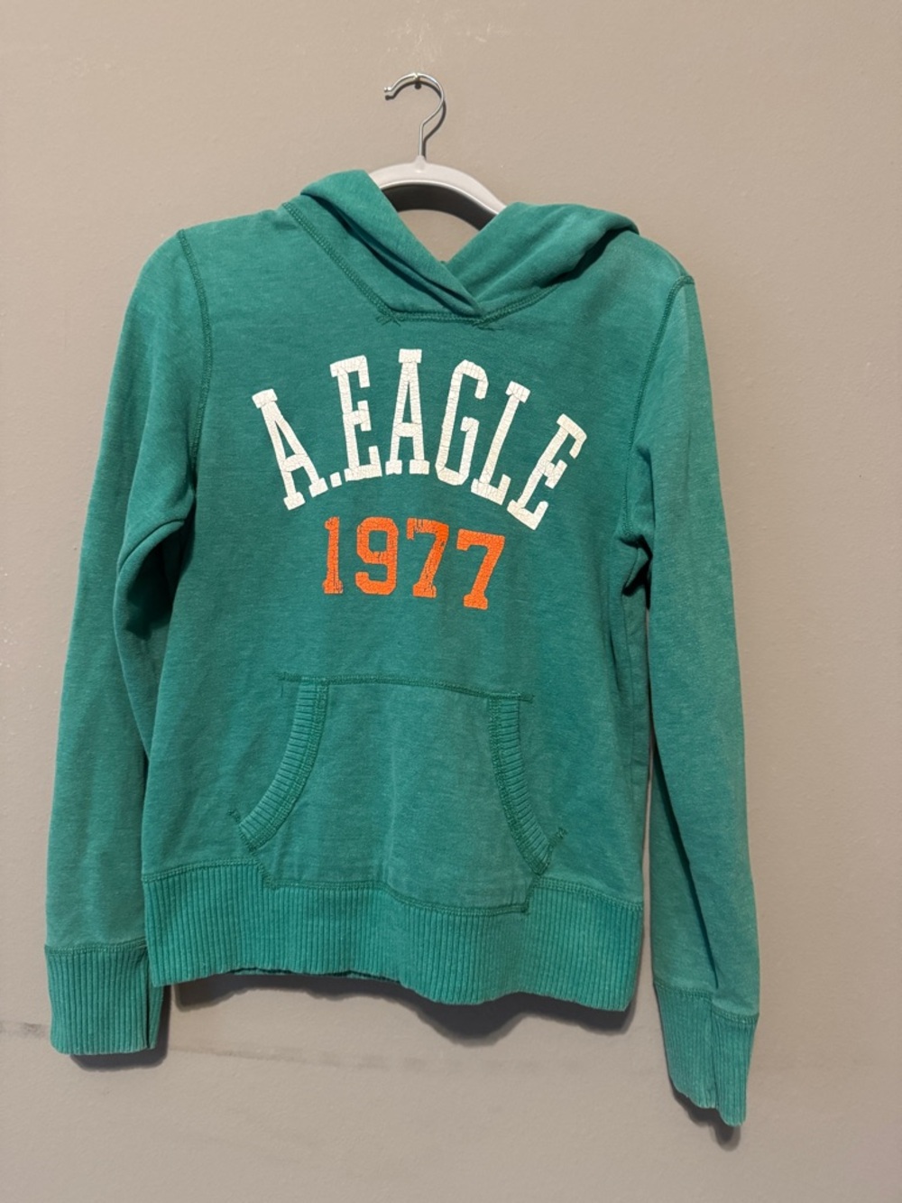 American Eagle Outfitters Teal Pullover Hoodie with 1977 Logo